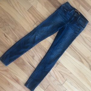 Joes Icon ankle skinny jean